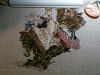 DSC_0995.jpg