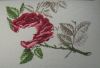 IMG_0548.JPG