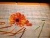 IMG_0608.thumb.JPG.db6486e2210ae19388da266f61c830d3.JPG?1479924924017