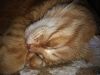 IMG_20161026_065540.jpg