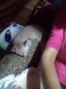 IMG_20161027_111742.jpg