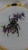 IMG_20161101_122558.thumb.jpg.0aeb82d8c973592f011550f9bbb52ab6.jpg?1477993153106