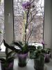 IMG_20161107_102501.jpg