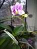 IMG_20161107_102809.jpg