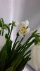 P_20161107_143015_LL.jpg