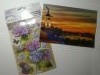 P_20161123_193528.thumb.jpg.db0ede6dd28694adb01b80ab4919d78f.jpg?1479922476989