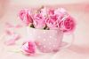 Roses_Pink_color_Mug_457558.jpg