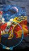 WP_20161111_02_08_37_Pro.jpg