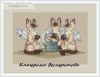 Бесперстова Катерина (bestet) #1657, Почти идеальный кот