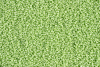 1809_Thumb.gif