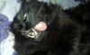 20160903_180836.jpg