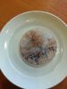 20161107_120448.jpg
