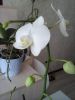 20161204_122352.jpg