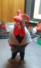 20161204_191220.jpg