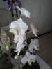 20161218_130610.jpg