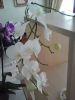 20161218_130642.jpg