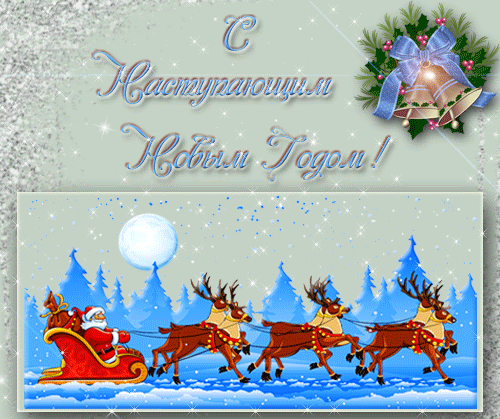 216625956.gif