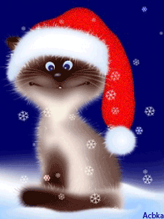 496976253.gif