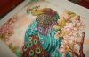Indian Peacock 35293 7.jpg
