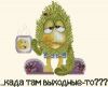 Зелепука.jpg