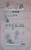 DSC00566.JPG