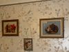 DSC01446_.jpg
