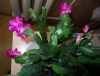 DSC01525_.jpg