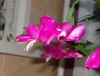 DSC01526_.jpg