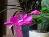 DSC01529_.jpg