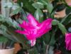 DSC01530_.jpg