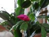 DSC01531_.jpg