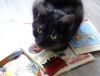 DSC01538_.jpg