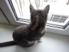 DSC01541_.jpg