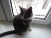 DSC01543_.jpg
