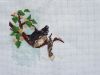 DSC01551_.jpg
