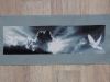 DSC01553_.jpg