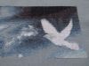 DSC01555_.jpg