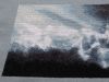 DSC01558_.jpg