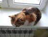 DSC01559_.jpg