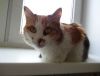 DSC01560_.jpg