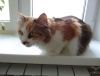 DSC01561_.jpg