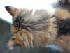 DSC01562_.jpg