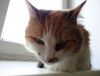 DSC01563_.jpg