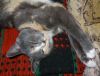 DSC01566_.jpg