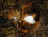 DSC01567_.jpg