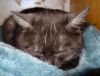 DSC01568_.jpg