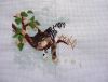 DSC01574_.jpg
