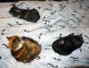 DSC01578_.jpg