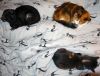 DSC01579_.jpg