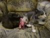 DSC01586_.jpg